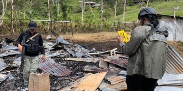 Serangan Brutal di Yahukimo, Satgas Damai Cartenz Lakukan Evakuasi dan Olah TKP