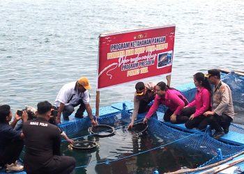 Polres Tual Inisiasi Budidaya Ikan, Dukung Ekosistem Laut dan Perekonomian