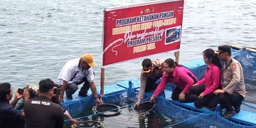 Polres Tual Inisiasi Budidaya Ikan, Dukung Ekosistem Laut dan Perekonomian