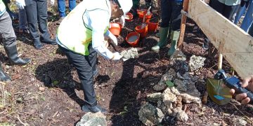 Pembangunan Gedung Puskesmas Perawatan di Tayando Kota Tual Resmi Dimulai