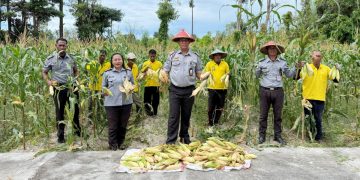 Dua Kali Panen di Juli, Lapas Namlea Buktikan Komitmen Ketahanan Pangan