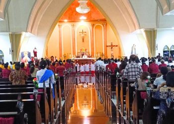 Hari Minggu 6 Juli 2025, Simak Bacaan Liturgi Katolik Lengkap dengan Mazmur