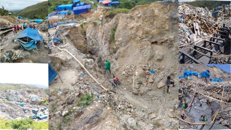 Mafia Tambang Gunung Botak Panik, Niko: Mereka Takut Kehilangan Setoran