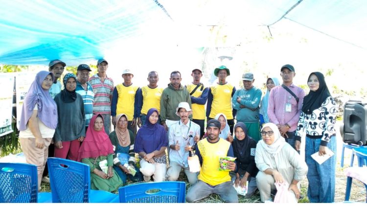 Lapas Namlea Ikut Farmer Field Day YBTS, Siap Terapkan Pertanian Efektif