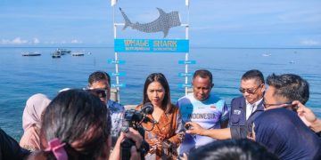 Wamenpar Ajak Wisatawan dan Warga Jaga Kelestarian Hiu Paus Botubarani