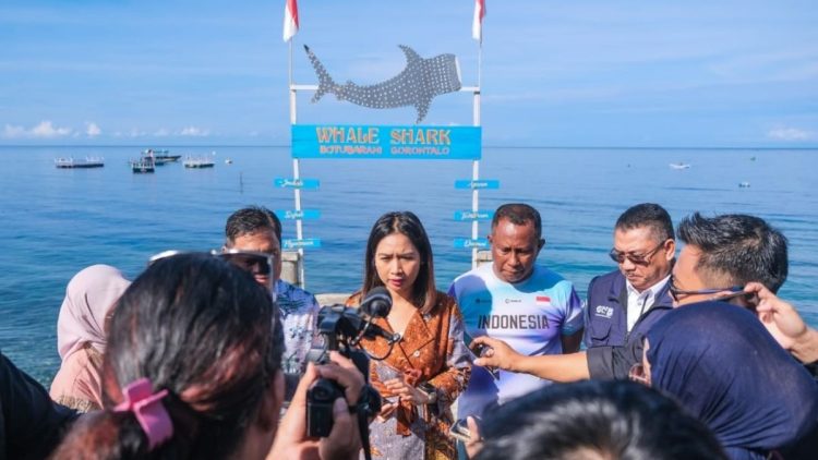 Wamenpar Ajak Wisatawan dan Warga Jaga Kelestarian Hiu Paus Botubarani