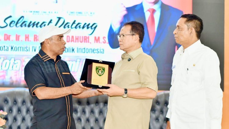 Rokhmin Dahuri ke Tual, Topang Sinergi Pusat-Daerah