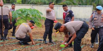 Polres Tual Optimalkan Lahan Lewat Program Penanaman Jagung