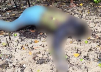 Polres Malra Ungkap Identitas Jenazah Perempuan di Kei Besar
